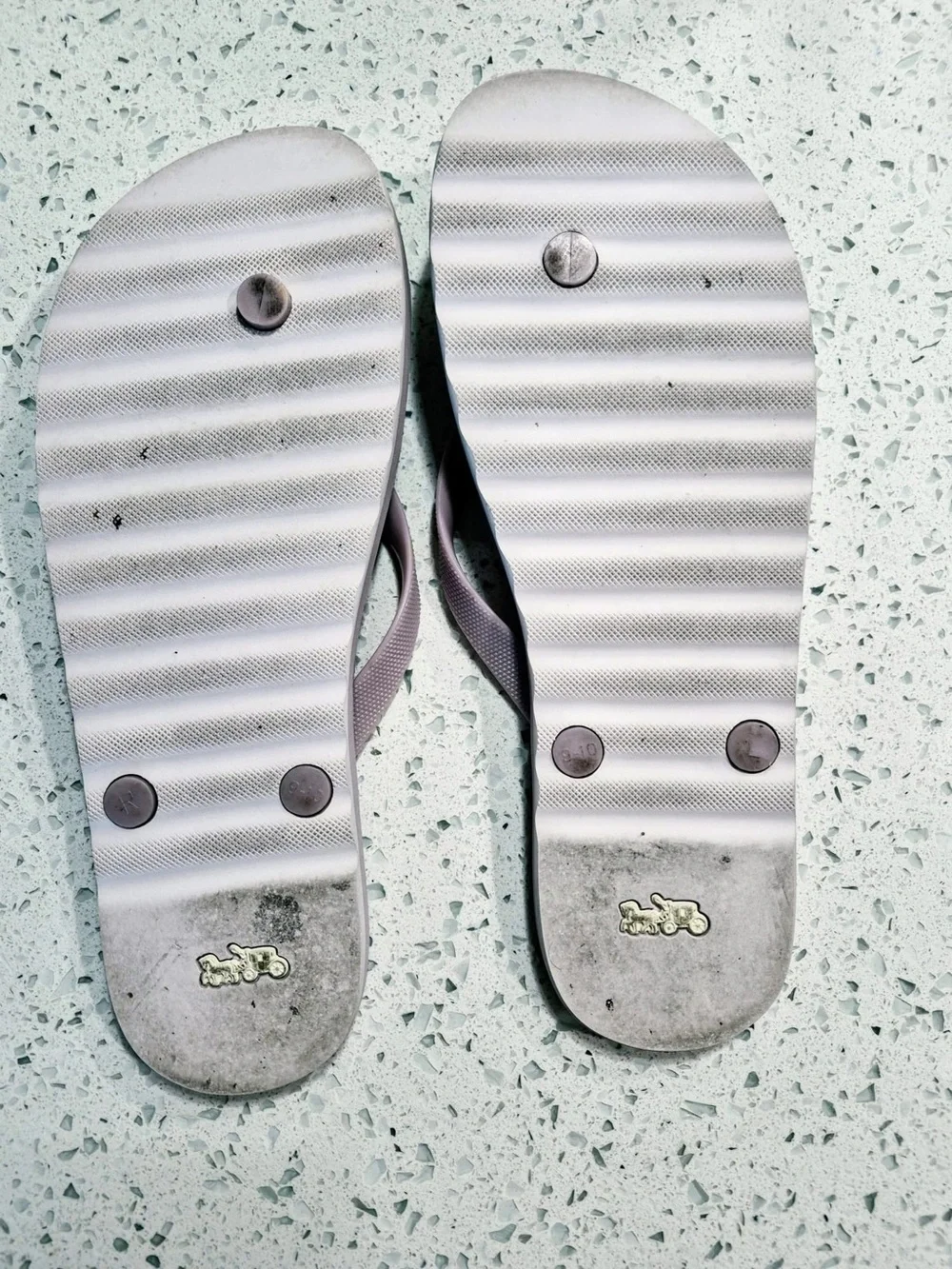 Coach Gray Signature Flip Flop Sandals with Lilac Straps size 9